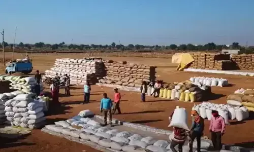 धान खरीदी में लापरवाही पर एक्शन : सारंगढ़-बिलाईगढ़ जिले के चार समिति प्रभारियों की सेवा समाप्त