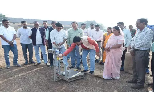 धान खरीदी का शुभारंभ : विधायक अनुज शर्मा बोले- यह केवल खरीदी नहीं, किसान के मेहनत का सम्मान