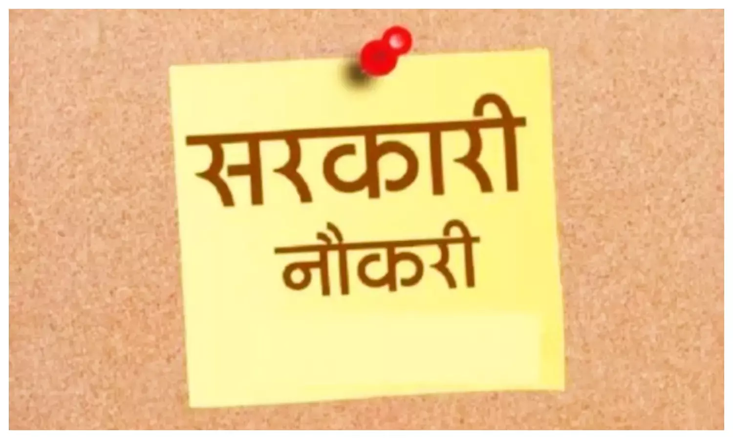 मौसम विभाग में 134 पदों पर भर्ती शुरू, ऐसे करें आवेदन