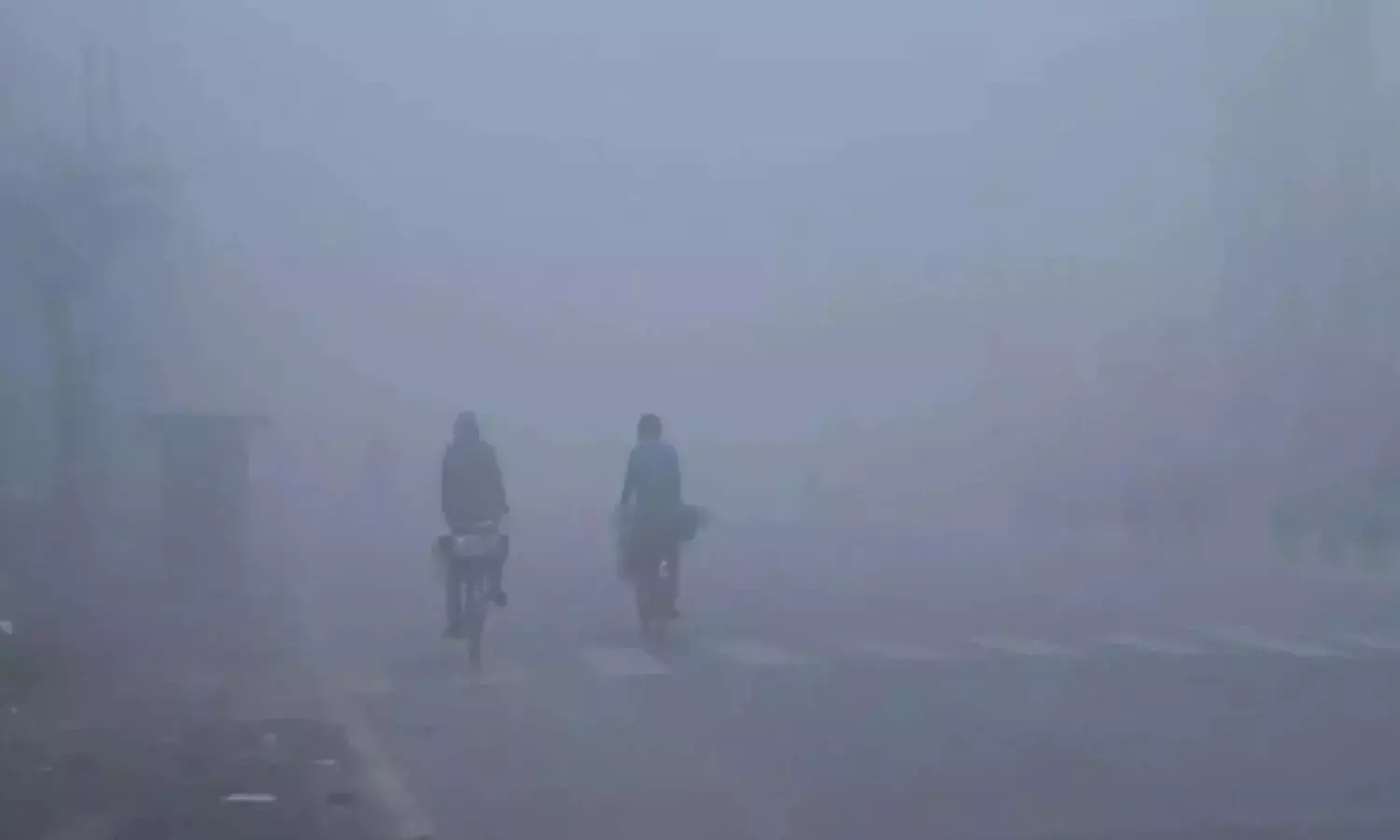 Haryana Cold Wave