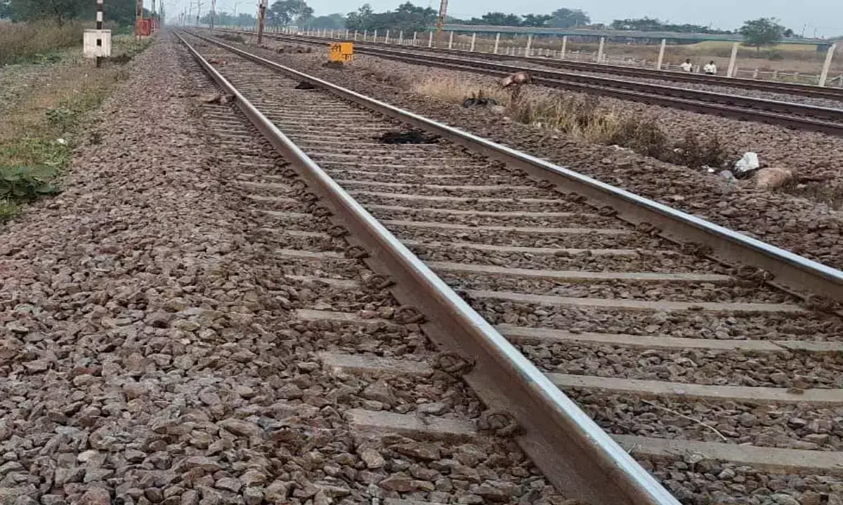 आजाद हिंद एक्सप्रेस से आई मौत : मालकिन समेत 16 बकरे- बकरियों की गई जान