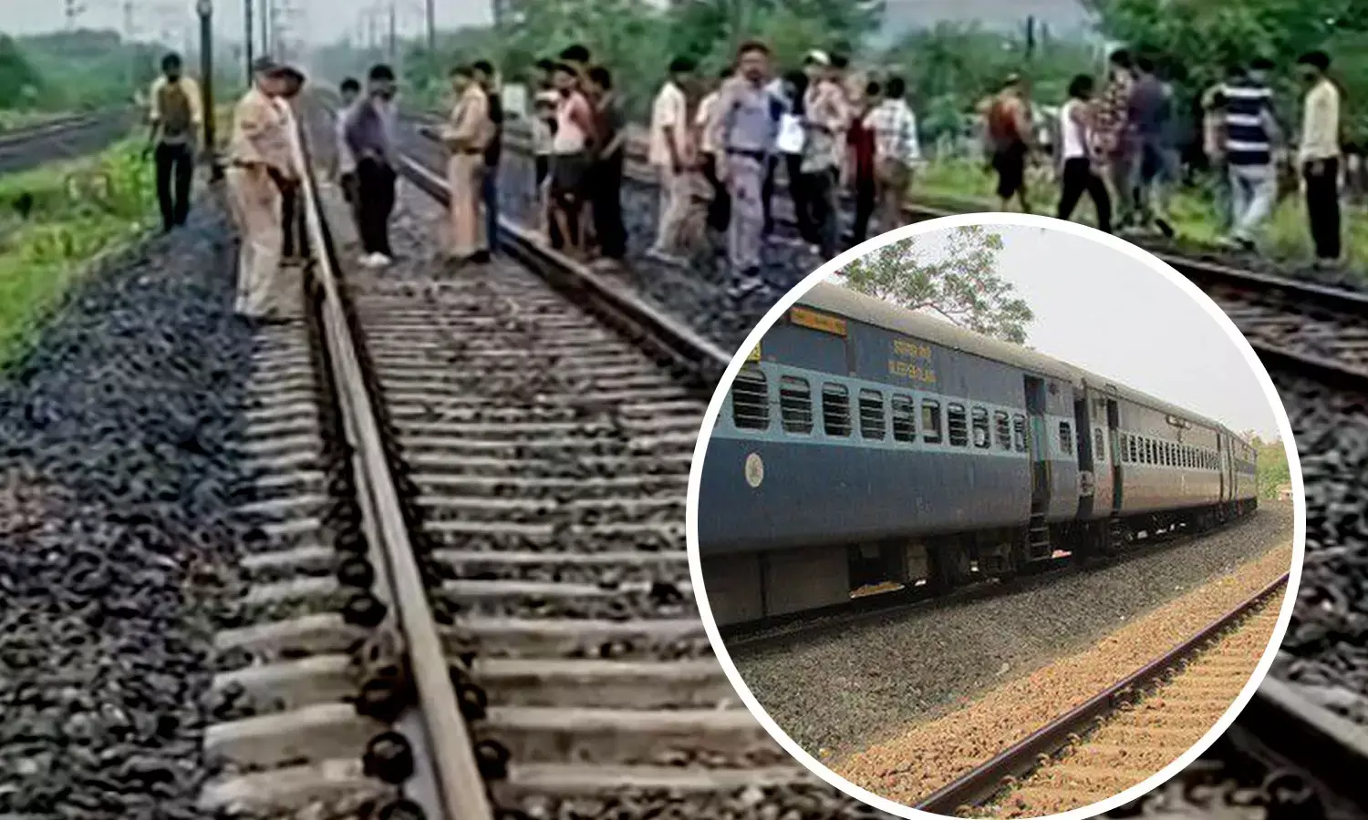 Haryana News Hindi Haryana News Hindi