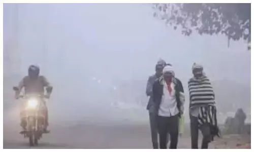 फतेहपुर में पारा 1.5° तक गिरा, शेखावाटी में कोल्ड-वेव अलर्ट जारी