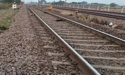 आजाद हिंद एक्सप्रेस से आई मौत : मालकिन समेत 16 बकरे- बकरियों की गई जान आजाद हिंद एक्सप्रेस से आई मौत : मालकिन समेत 16 बकरे- बकरियों की गई जान