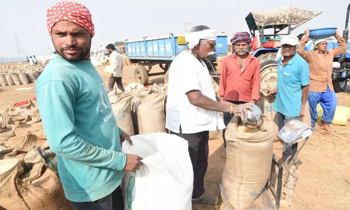 प्रदेशभर में तीसरे दिन हुई 2.43 लाख क्विंटल की खरीदी, सहकारी समितियों की हड़ताल बेअसर