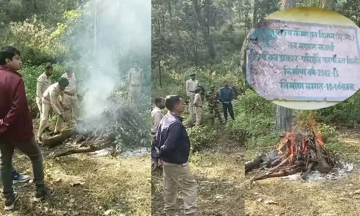 भोरमदेव अभयारण्य वन विभाग