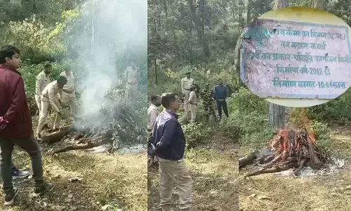 भोरमदेव अभयारण्य वन विभाग