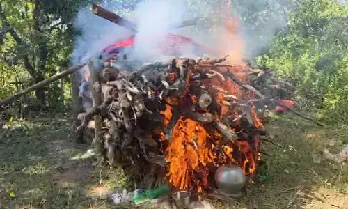 हिड़मा और उसकी पत्नी राजे का पूवर्ती गांव में किया गया अंतिम संस्कार