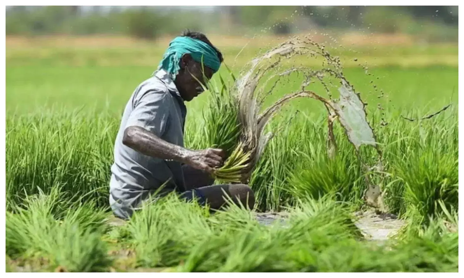 किसानों की फसल को मिलती है 100% सुरक्षा, जानें आवेदन प्रक्रिया