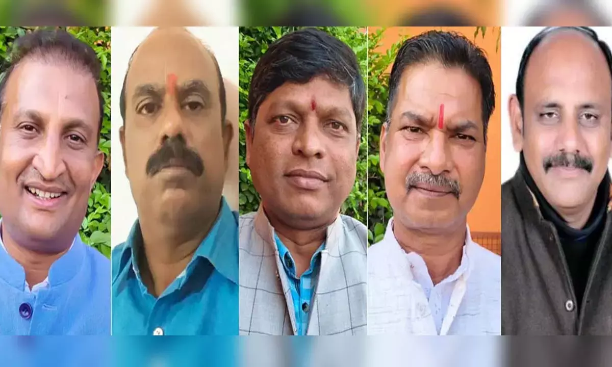 बस्तर भाजपा