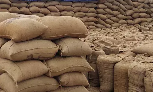 समर्थन मूल्य धान खरीदी पर कड़ी निगरानी