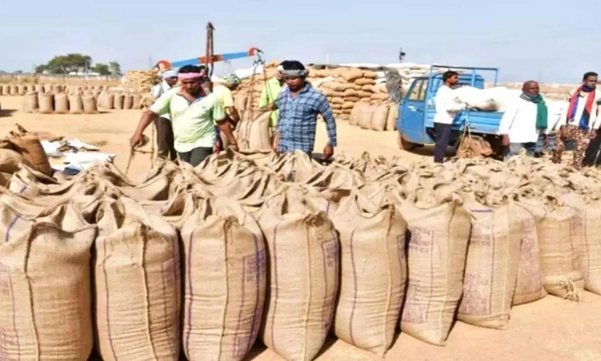 धान उत्सव में अब रौनक :  बाधा दूर, 18 दिन बाद टूटी सोसाइटी की हड़ताल