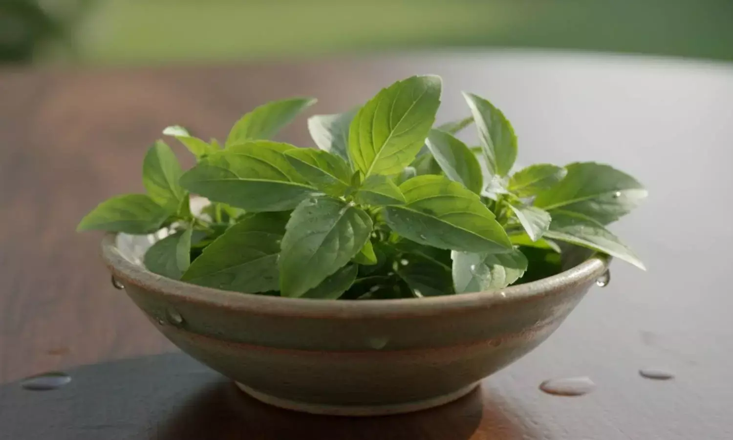 basil leaves health benefits