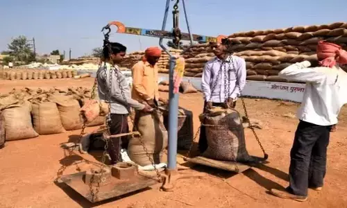 पड़ोसी राज्यों से अवैध सप्लाई : 9 करोड़ 65 लाख रुपए का धान जब्त, महासमुंद टॉप पर