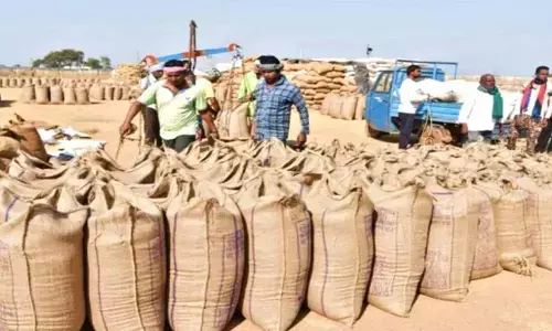 धान उत्सव में अब रौनक :  बाधा दूर, 18 दिन बाद टूटी सोसाइटी की हड़ताल