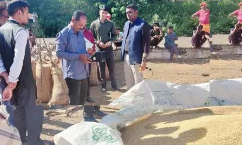 धान खरीदी