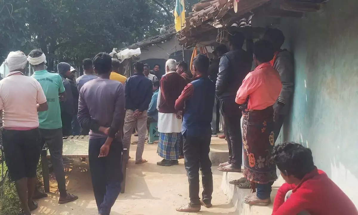 सूरजपुर में हाथियों का कहर