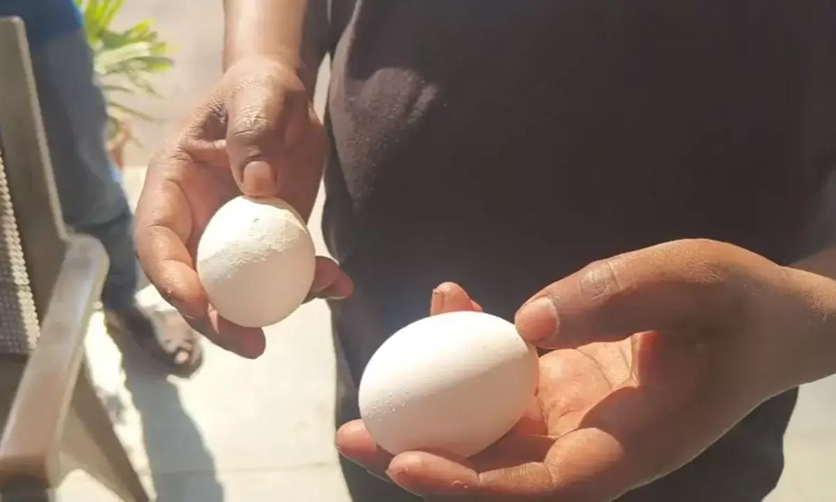 दो अंडे लेकर थाने पहुंचा युवक