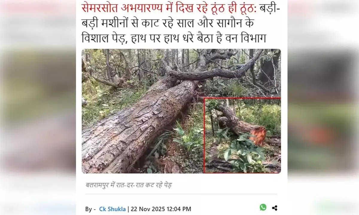 हरिभूमि डॉट कॉम में खबर प्रकाशित होने के बाद हरकत में आया वन विभाग हरिभूमि डॉट कॉम में खबर प्रकाशित होने के बाद हरकत में आया वन विभाग