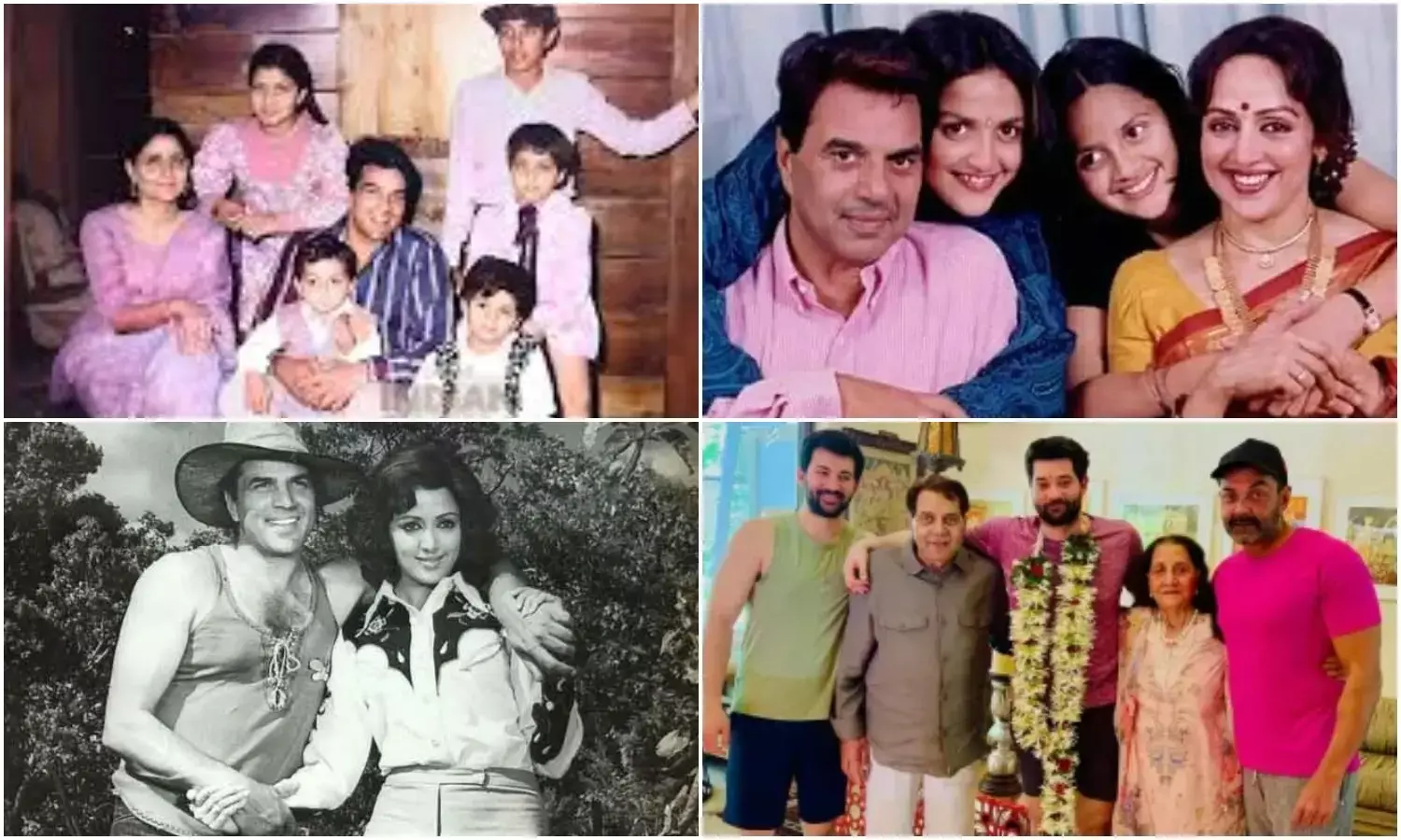 Dharmendra Family Tree