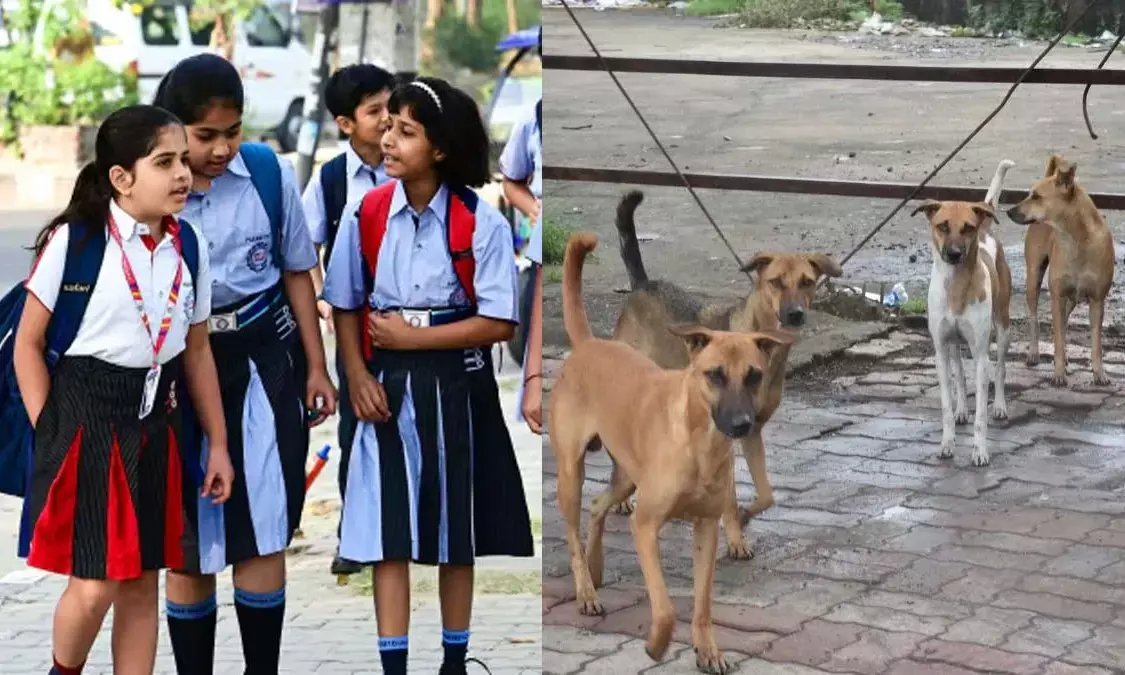 आवारा कुत्तों से बच्चों की सेफ्टी