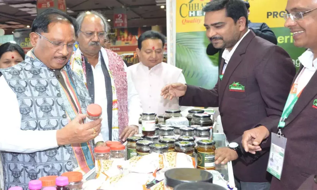 मुख्यमंत्री विष्णु देव साय