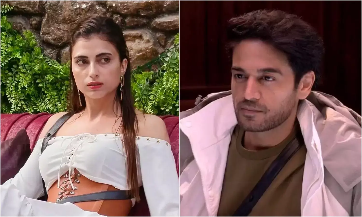 बिग बॉस 19