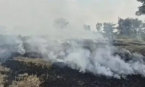 बलौदाबाजार जिले में पराली जला रहे किसान : कलेक्टर बोले- जलाए नहीं, खाद बनाने के लिए किसानों को करेंगे जागरूक