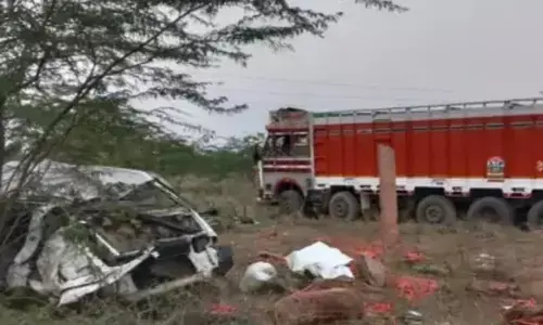 नीलगाय को बचाते वक्त दंपत्ति की कार ट्रक से भिड़ी, मौके पर मौत