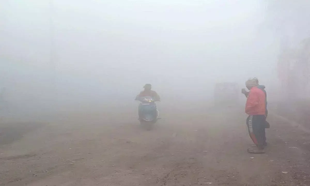 हिमाचल की सर्द हवाओं से कांपा छत्तीसगढ़ : सरगुजा में सर्वाधिक ठंड, मैनपाट में रौनक