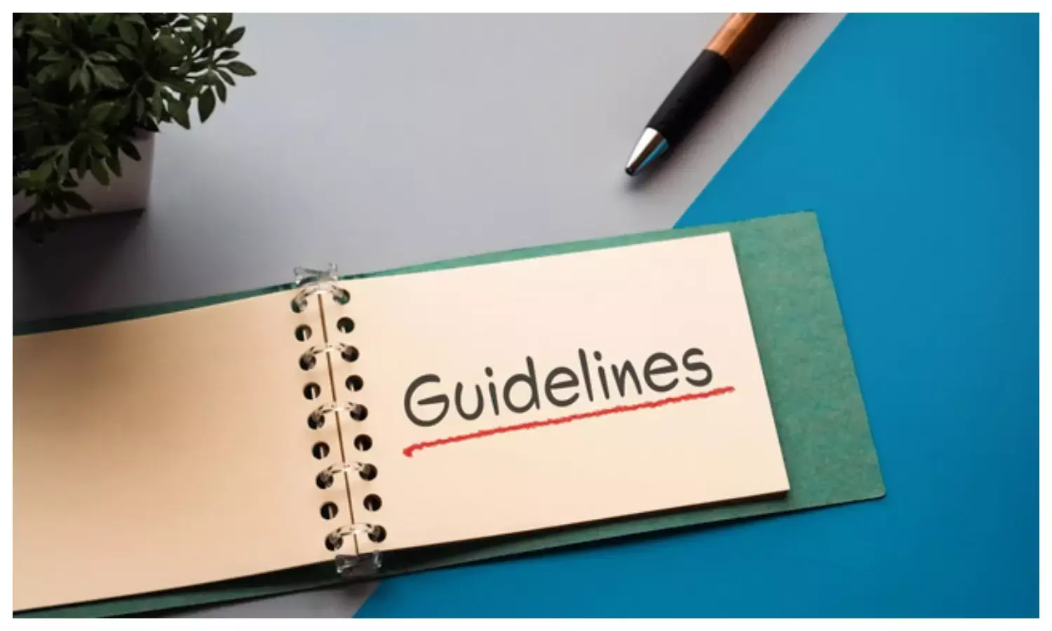 बीसीआई ने जारी की जरूरी गाइडलाइंस; अभ्यर्थी जरूर पढ़ें बीसीआई ने जारी की जरूरी गाइडलाइंस; अभ्यर्थी जरूर पढ़ें