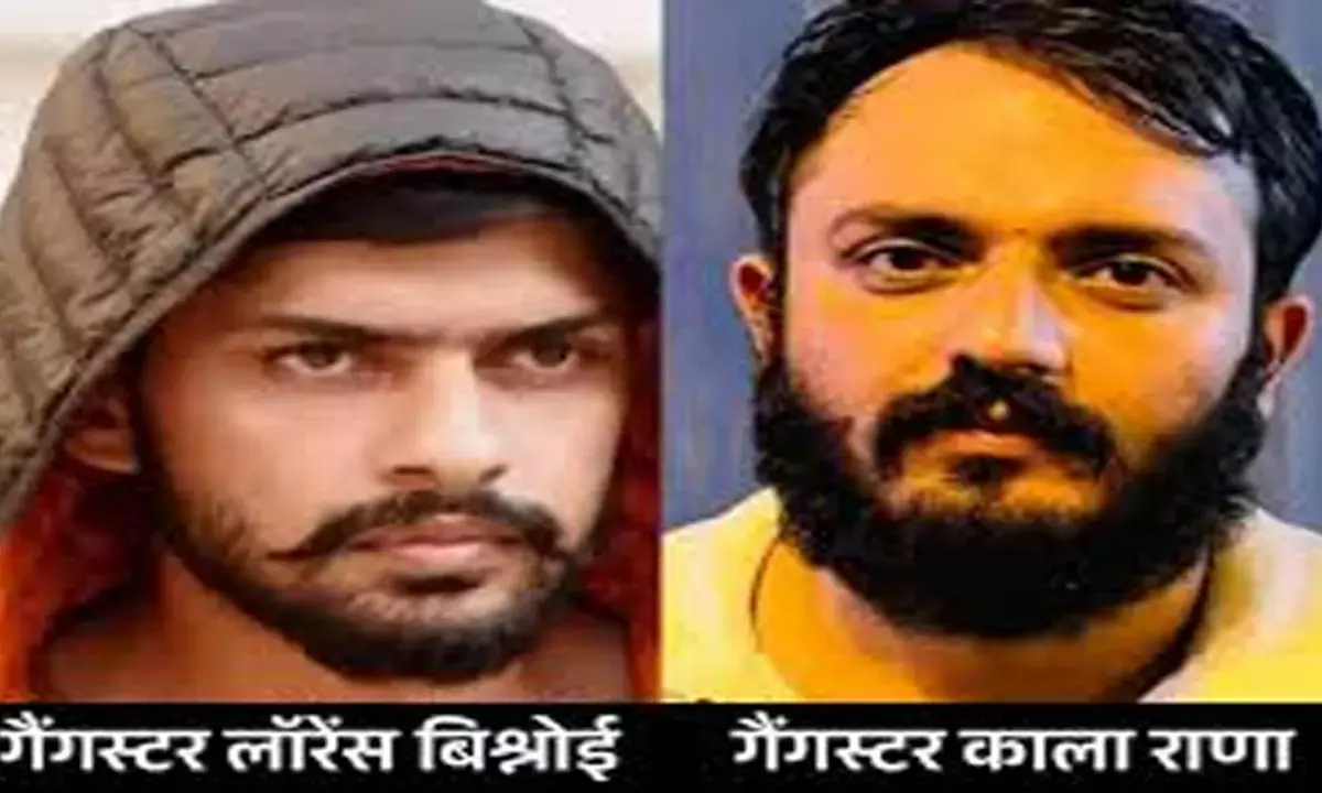 Lawrence–Kala Rana