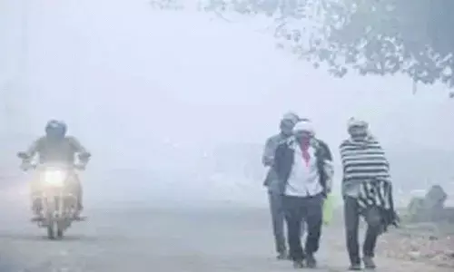 Haryana Cold Wave