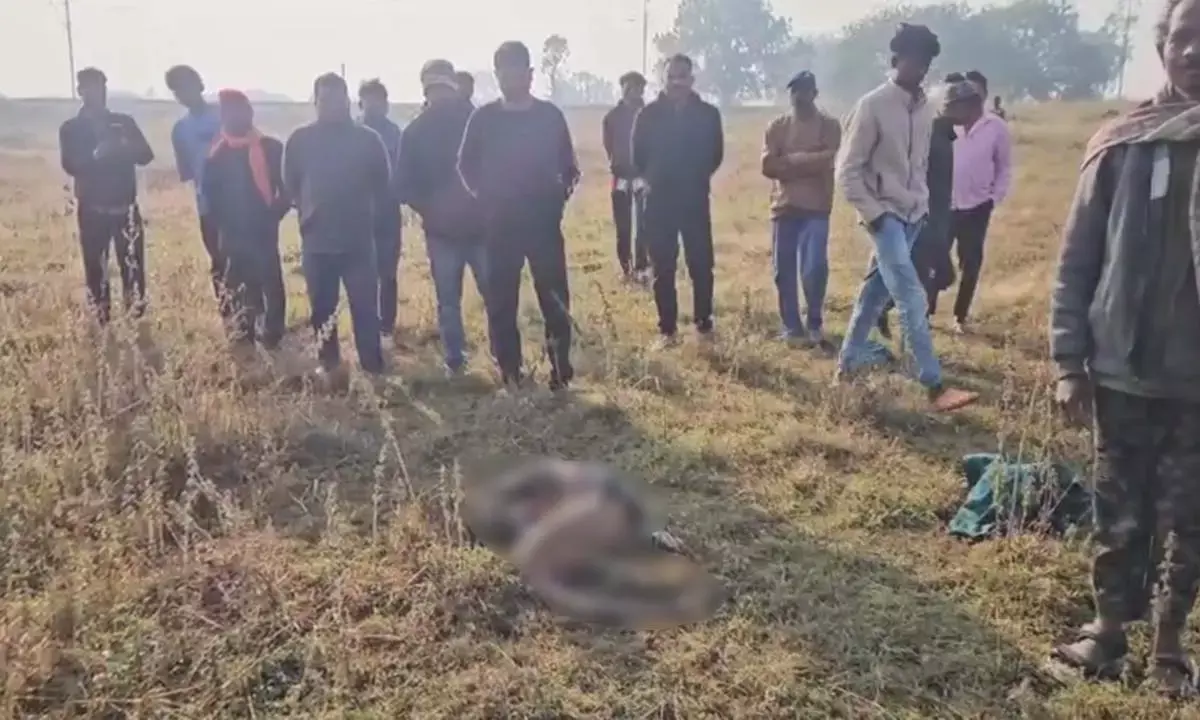 11 हाथियों के दल ने शहर में मचाया आतंक