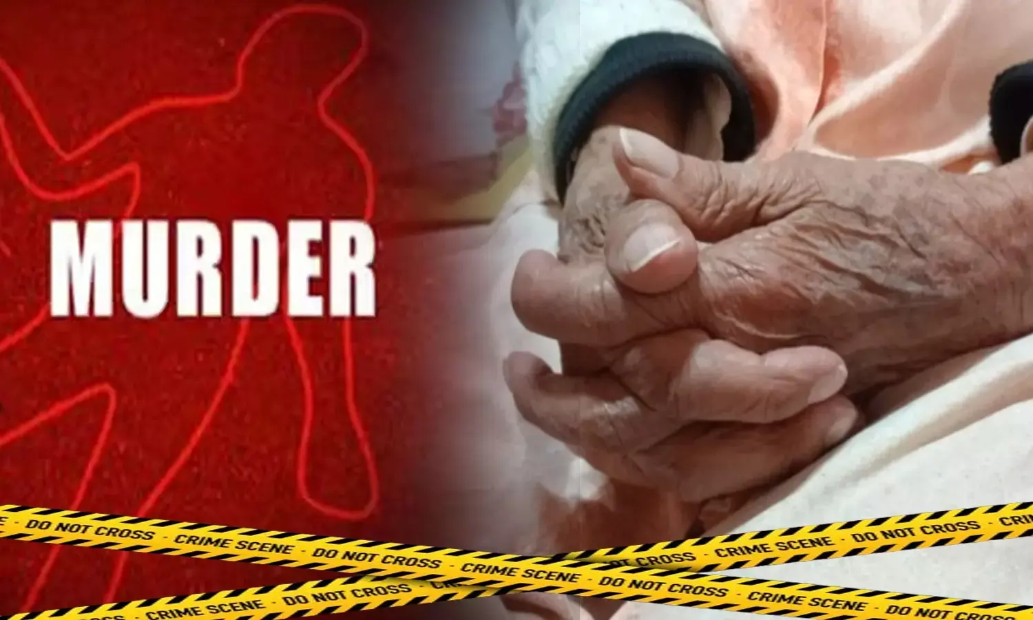 65 year old woman brutally murdered and raped in delhi