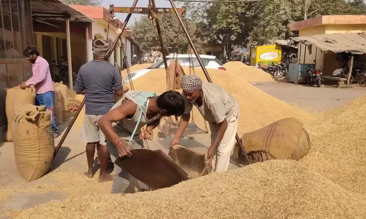 सरकार ने किसानों को दी बड़ी राहत : अब 30 नवंबर तक हो सकेगा रकबा संशोधन, 1.98 लाख किसान बेच चुके हैं धान