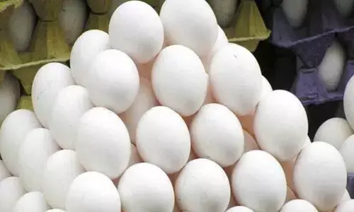 ठंड में उबला अंडा : पहली बार दाम चिल्हर में आठ रुपए