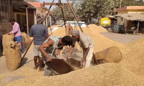 सरकार ने किसानों को दी बड़ी राहत : अब 30 नवंबर तक हो सकेगा रकबा संशोधन, 1.98 लाख किसान बेच चुके हैं धान