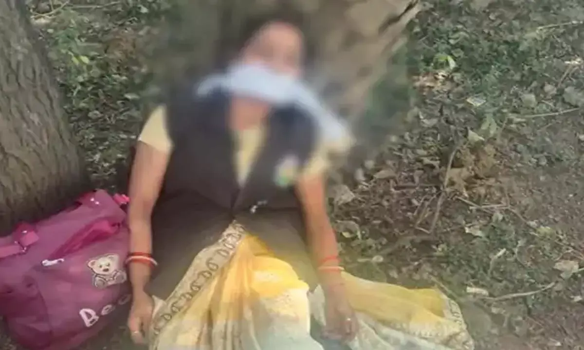 स्कूल टीचर