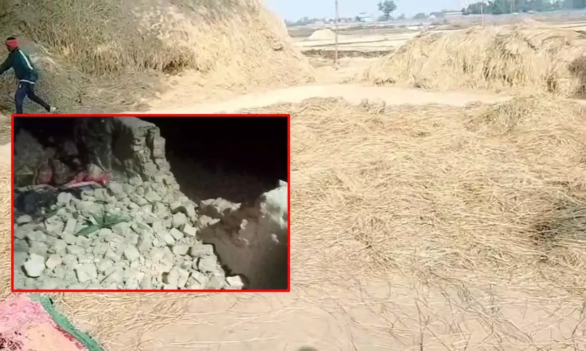 सूरजपुर जिले में खलिहान में सो रहे दंपत्ति को हाथियों ने रौंदा