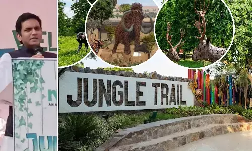 Noida Jungle Trail