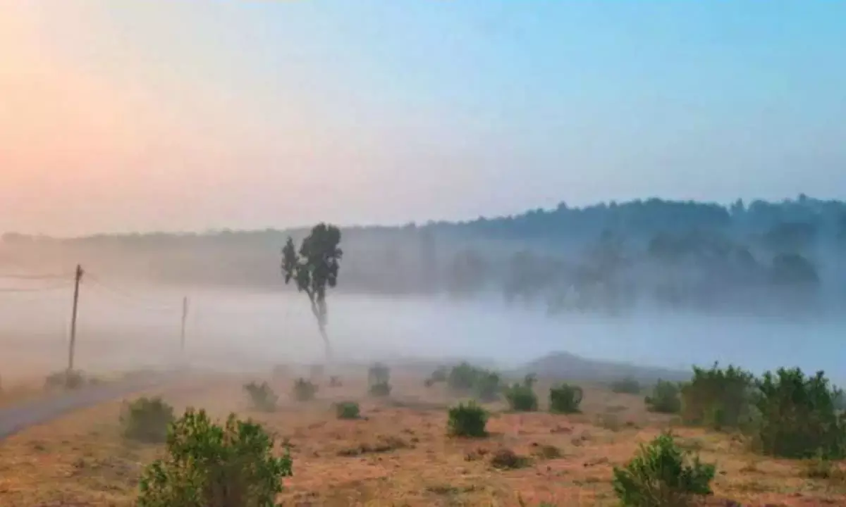 मैनपाट में कोहरा ही कोहरा : समुद्री तूफान के चलते शीतलहर से मिली राहत