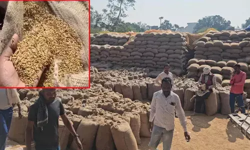 तेजी से चल रही समर्थन मूल्य पर धान खरीदी