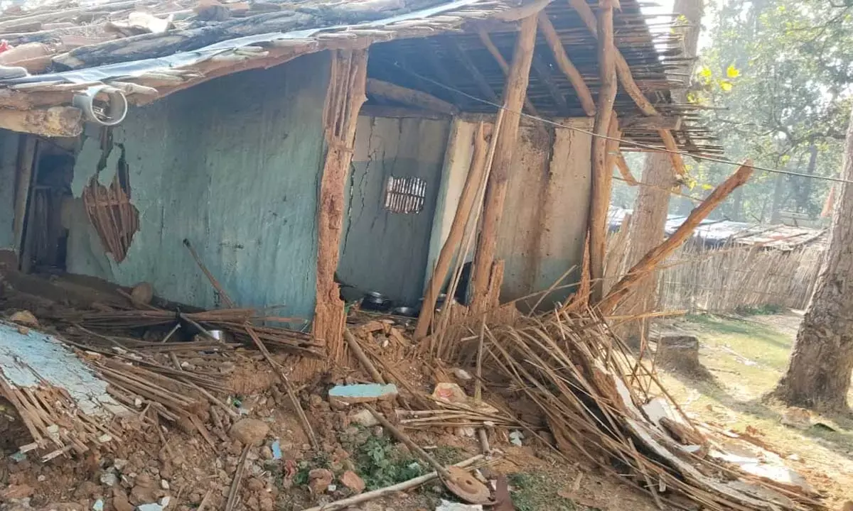 अचानकमार टाइगर रिज़र्व में हाथियों का आतंक