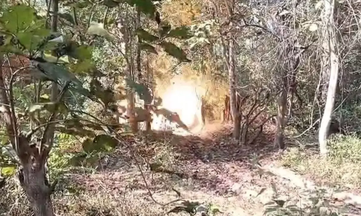 जवानों ने तीन नग आईईडी को किया डिफ्यूज जवानों ने तीन नग आईईडी को किया डिफ्यूज