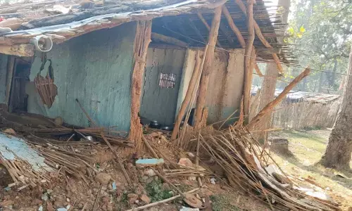 अचानकमार टाइगर रिज़र्व में हाथियों का आतंक