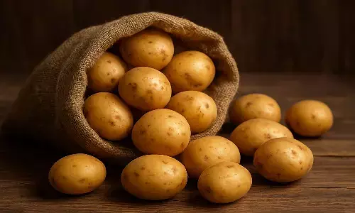 how to store potato at home