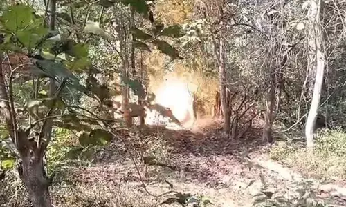 जवानों ने तीन नग आईईडी को किया डिफ्यूज