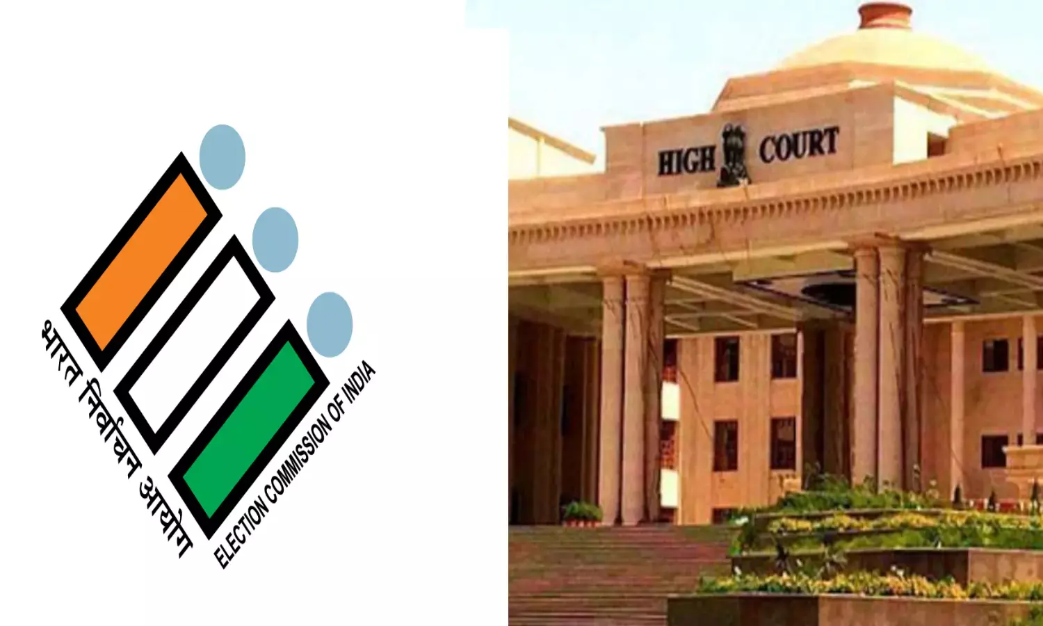 चुनाव आयोग से पूछा- प्रत्याशियों की संपत्ति के सत्यापन का क्या है ठोस प्लान?