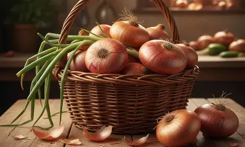 how to store onion